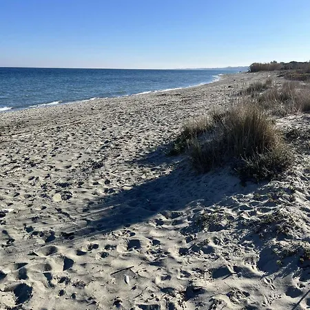 Jardin A Deux Pas De La Classe 3 Etoiles Apartment Poggio Mezzana