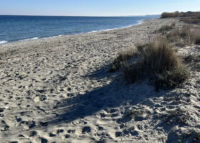 Jardin A Deux Pas De La Classe 3 Etoiles Appartement Poggio Mezzana